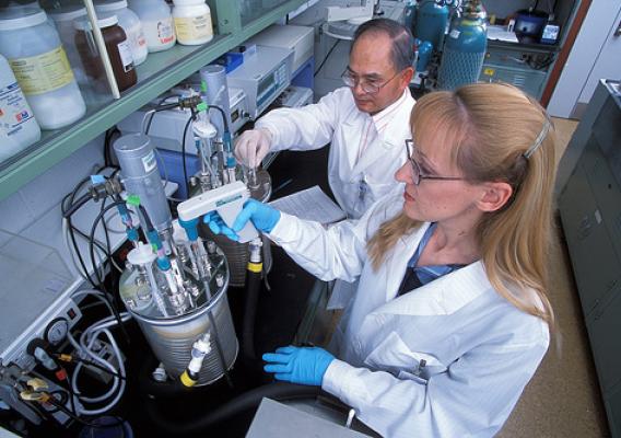 Agricultural Research Service chemist Tsung Min Kuo and technician Karen Ray convert vegetable oil into antifungal agents and other value-added bioproducts. 