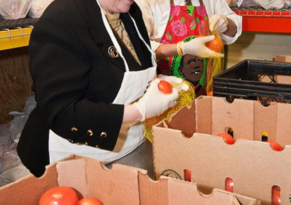 Dr. Kathleen Merrigan (left), Deputy Secretary and Max Finberg (right), Director, Center for Faith Based and Neighborhood Partnerships fill mesh bags with tomatoes at the Arlington Food Assistance Center in Arlington, Virginia, Thursday, January 12, 2012. Agriculture Secretary Tom Vilsack designated January 12 as the United States Department of Agriculture’s Martin Luther King Day of Service to recognize Dr. King’s contributions to the Civil Rights Movement. The volunteer service at the Arlington Food Assis