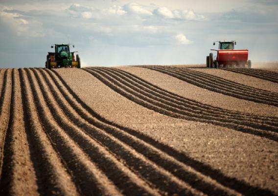Two tractors plant in field. Research shows that two major farm inputs – land and labor – decreased over time, while output rose. (Photo courtesy of Shutterstock)