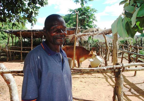 Sabado Josè Maria, a former crop farmer in Mozambique, has more than doubled his income thanks to support and training he received in a USDA-funded Land O’Lakes dairy project.