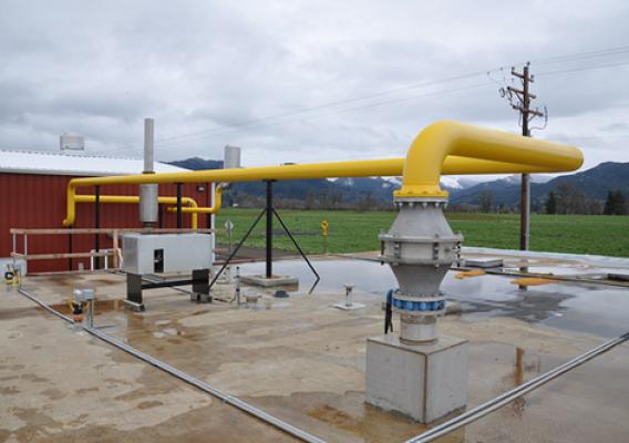 A yellow pipe transports the methane from the digester to the 1MW generator in the mechanical building.