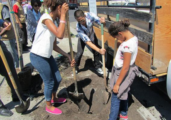 Local young people prepare the ground for tree plantings at the Urban Releaf ceremony in Oakland, Calif., on Aug. 20.