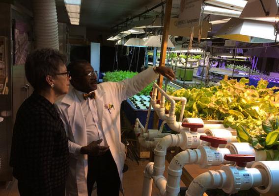 USDA Under Secretary Cathie Woteki reviews the hydroponic garden at Food and Finance High School in New York City, which is fed nutrients from sediment collected in Dr. Warner’s basement fish tanks and pumped up four floors to the garden.