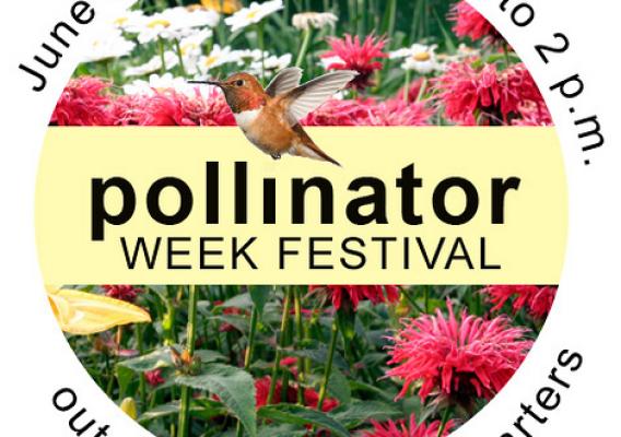 Celebrate at the Pollinator Week Festival on June 21 at USDA Headquarters. (Photo credit: 2013 Pollinator Week logo courtesy of Pollinator Partnership)