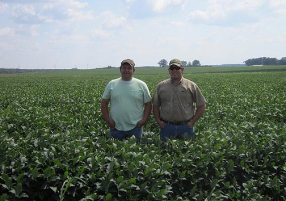 William and Thomas Anderson in their current soybean field.