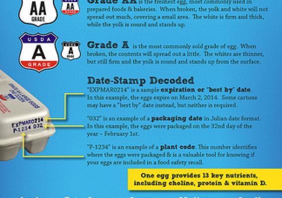 Get the Scoop on Eggs: a guide to USDA egg grades, labels, and common terms.  Click to see a larger version.