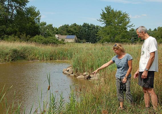 NRCS District Conservationist Rita Thibodeau (left) points out minnows swimming in a pond that was part of Peter Talmage’s wetland restoration project. (Photo by Jonathan Tokarz, NRCS intern)