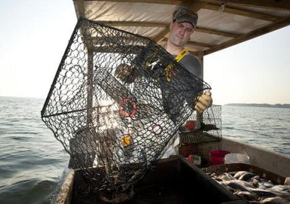 Water quality in the Chesapeake Bay is important for many reasons, such as supporting local fishing economies. Water quality trading is one way to improve the quality of the Bay so that we can continue to rely on the ecosystem benefits it provides. Photo credit: NRCS