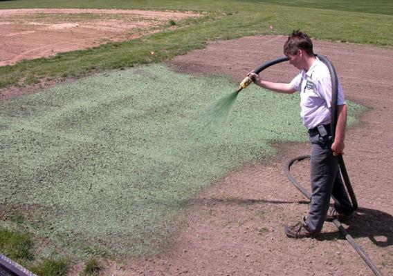 ARS scientists are studying alternative, less expensive binders for hydromulch, a mixture of seed, mulch, water and other ingredients sprayed on bare soil. The binder helps the hydromulch stick together. (ARS photo)