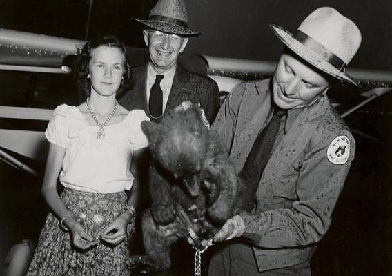 Arriving in Washington, DC, the little hotfoot victim was greeted by a pouring rain, Lyle F. Watts, Chief of the Forest Service (center) and Stanlee Ann Miller of Albuquerque. N.M., who represented the school children of her state. (U.S. Forest Service photo)