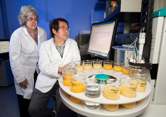 Researchers at USDA Agricultural Research Service help reduce food waste by developing new ways to extend food shelf life and by creating new food products, biobased plastics, and animal feed from food waste.  USDA photo by Stephen Ausmus.