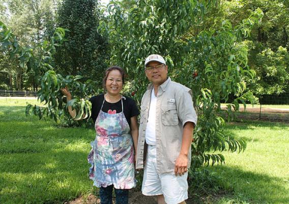 Nancy and Hung Pham stand in front of one of their many fruit trees with branches so full they almost hit the ground. NRCS photo by Judi Craddock.