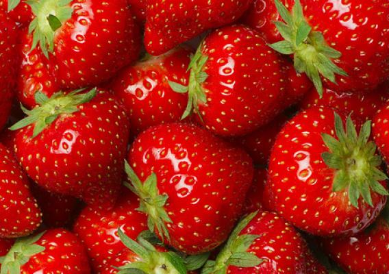 Thanks to a USDA NIFA grant, strawberry growers in Florida are benefiting from a smart system that helps them time spraying to prevent diseases – saving the farmers money while minimizing the environmental impacts. The system is being adapted for growers in other states.