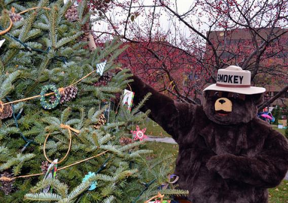 Smokey Bear helps to decorate the U.S. Forest Service’s tree in Milwaukee’s Cathedral Square Park during the 2014 U.S. Capitol Christmas Tree trek to Washington, D.C. (U.S. Forest Service)