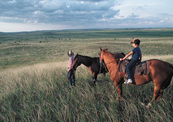 A rancher and his son survey a swath of Dakota grasslands