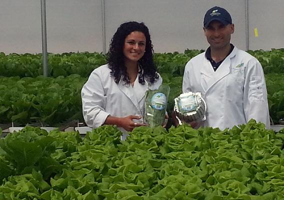 Two years after starting Fresh Water Greens, Owner Regina Villari (left) along with her brother and Production Manager Joseph Villari, have fresh lettuces and herbs in 37 supermarkets throughout New Jersey.