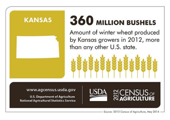 Agriculture is blooming in the Sunflower State! Be sure to check back next week for more highlights from another state and the 2012 Census of Agriculture.
