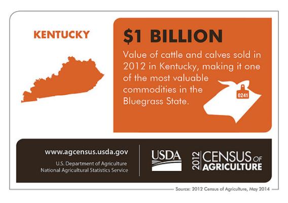 Kentucky State Infographic