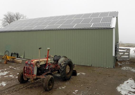 This solar array saves Kennington Farms in Oregon about $1,000 a month, and the farm sells excess electricity to the local utility.