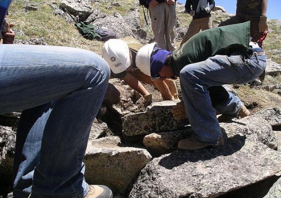 Members of the Rocky Mountain Youth Corps lift heavy boulders as part of a project to turn user-created trails on Mount Yale in Colorado into properly maintained trails that do not hurt the environment. (U.S. Forest Service Photo)