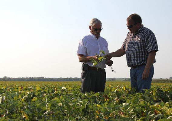 Under Secretary for Farm and Foreign Agriculture Service Michael Scuse (left) and Cass County Farm Service Agency (FSA) committeeman and farmer Trent Smith discuss the impact of the drought on Missouri’s soybean crop. 