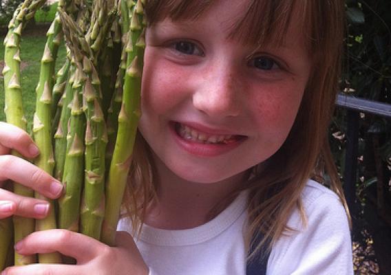 Addison, a Kindergarten student at Matoaka Elementary School, makes friends with a new vegetable on Asparagus Day. 