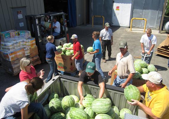Volunteers unloading the gleaned watermelons at a food bank in Missouri.  