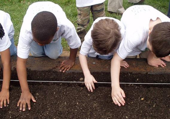 Students at Lawrenceville Elementary School in Lawrenceville, NJ cultivate their school garden from planting to harvest!