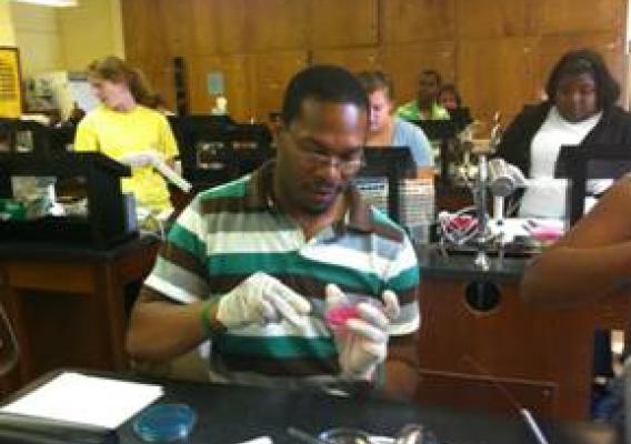 Student Rashad Warren doing the lab work to find “science gold” in the bellies of beetles. Photo credit: Ellen Green