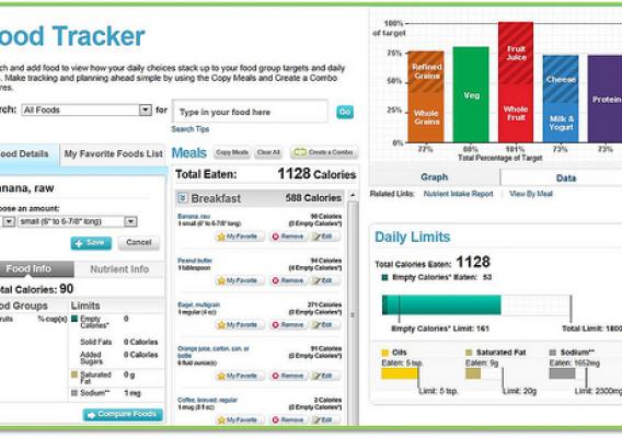 This screen shot depicts the U.S. Department of Agriculture’s SuperTracker application on Jan. 11, 2013. The application allows users to track the foods they eat and compare it to their nutrition targets.