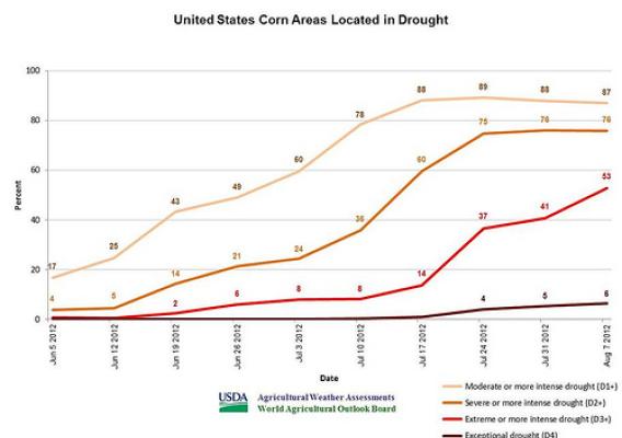 U.S corn areas located in drought. 