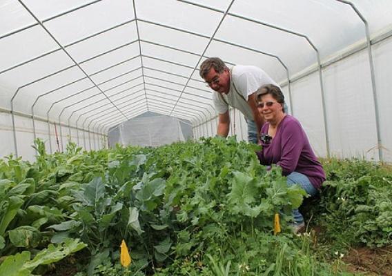 The Stoltzfuses use high tunnels to lengthen the growing season for fresh fruits and vegetables. They built the first high tunnel on their own, and they liked it so much, they decided to build a second one with the help of NRCS. 