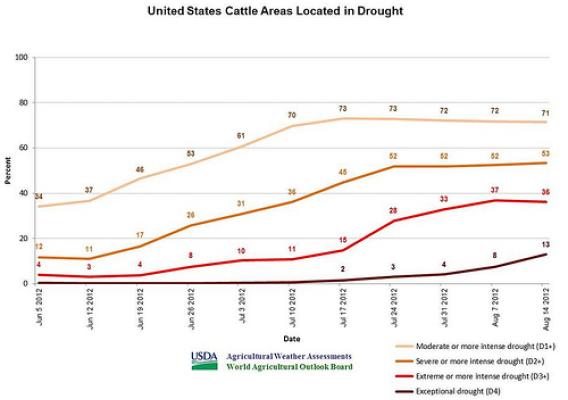 U.S. cattle areas located in drought. 