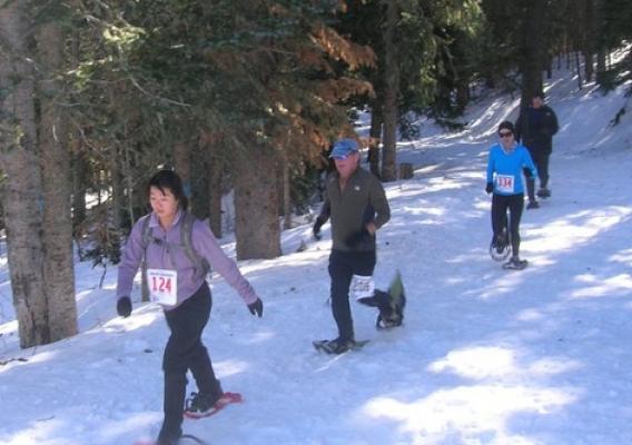 Participants in the Sandia Snowshoe Race make their way on a trail through the Cibola National Forest outside of Albuquerque, N.M. The race supports maintenance of trails and picnic areas on the forest. Photo courtesy of Friends of the Sandia Mountains.