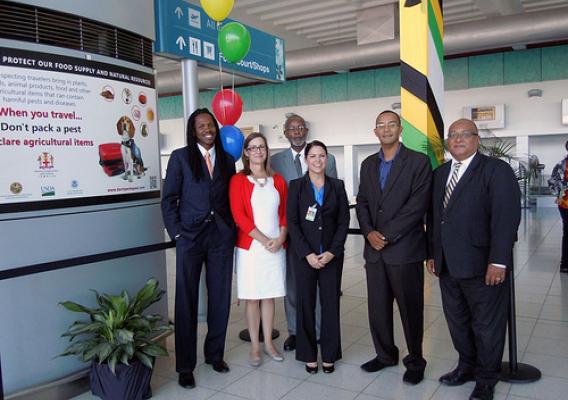 Launch of “Traveler’s Don’t Pack a Pest” outreach campaign at Norman Manley International Airport, Kingston, Jamaica.  From left: Damion Crawford, Minister of State, Jamaica Ministry of Tourism; Shannon Shepp, Deputy Commissioner, Florida Department of Agriculture and Consumer Services; Dr. Raymond Brown, Deputy Chief of Mission, Embassy of United States, Kingston, Jamaica; Jennifer Lemly, Director, Greater Caribbean Safeguarding Initiative, USDA/APHIS; Dr. Marc Panton, Chief Technical Director, Jamaica Min