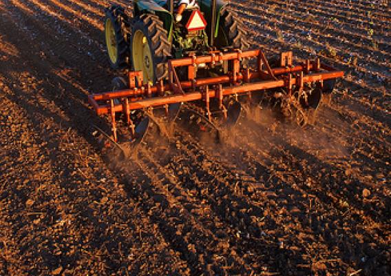 A stalk-puller attachment is drawn through this cotton test field near Weslaco, Texas, by U.S. Department of Agriculture (USDA) Agricultural Research Service (ARS) field technician Victor Valladares. USDA photo by Jack Dykinga.