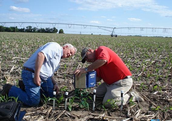 At the University of Nebraska-Lincoln, state energy and extension staff are teaching farmers to use modern sensors to improve irrigation management. In this picture, Darrel Siekman and Gary Zoubek install Watermark Sensors and a data logger. | Photo courtesy of the University of Nebraska.