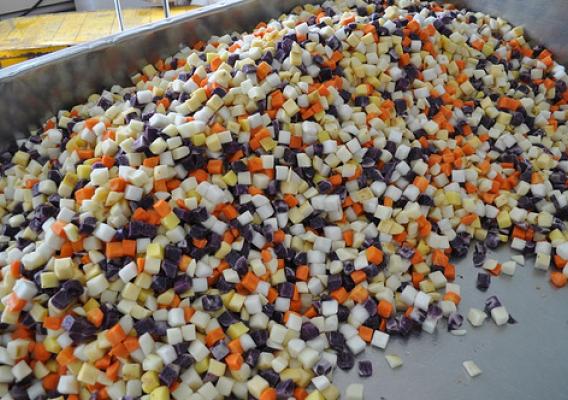 Northern Girl will process locally-grown vegetables including potatoes, carrots, beets, turnips, rutabaga, and parsnips at its new facility in Van Buren, Maine. USDA photos.