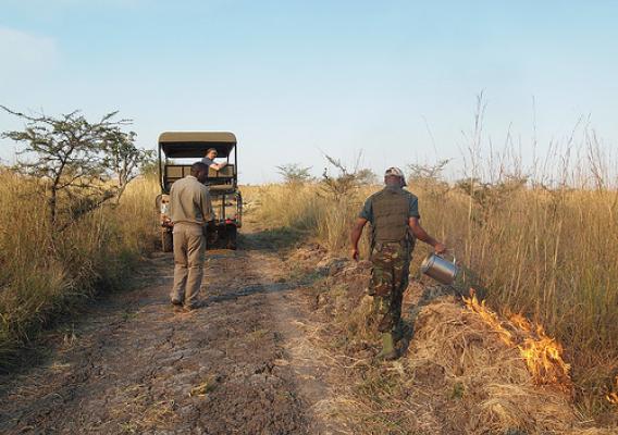 Starting controlled fires in Kafue National Park
