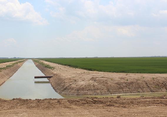 A tailwater recovery stems traps and circulates water around fields, which conserves water while preventing runoff of sediments and nutrients into nearby natural waterways.  