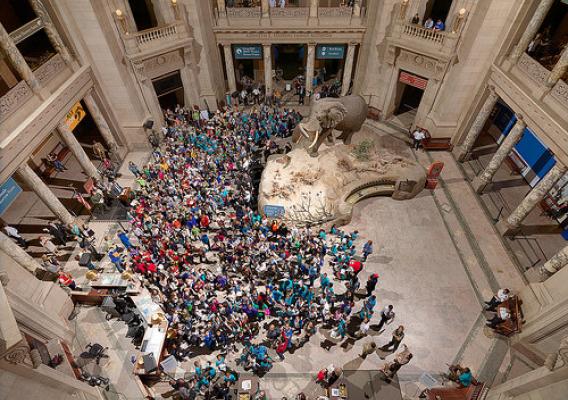 Young people are made honorary junior paleontologists in the rotunda of the Smithsonian Institution’s National Museum of Natural History. (Courtesy The Smithsonian Institution)