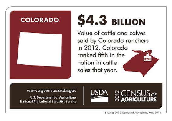 Cattle is Colorado’s #1 commodity – check back next Thursday to learn more about another state and the results from the 2012 Census of Agriculture!