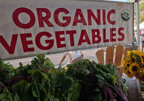 Organic Vegetables sign above vegetables and flowers