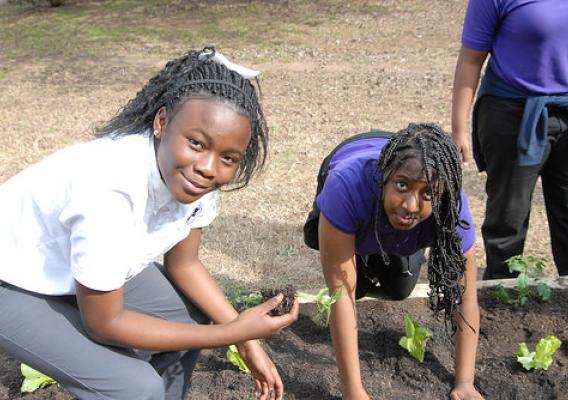 Miller Grove students inspecting the plants as they go into the soil. NRCS photo.