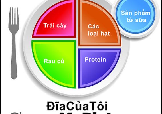 The English version of the MyPlate icon translated into Vietnamese
