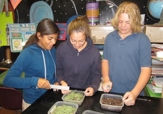 Students participating in a “Climate Change and the Water Cycle” module exercise
