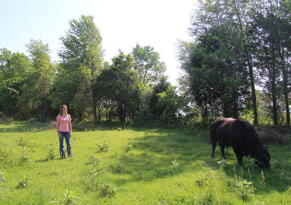 Cassie Munsey with her bull on her cattle farm