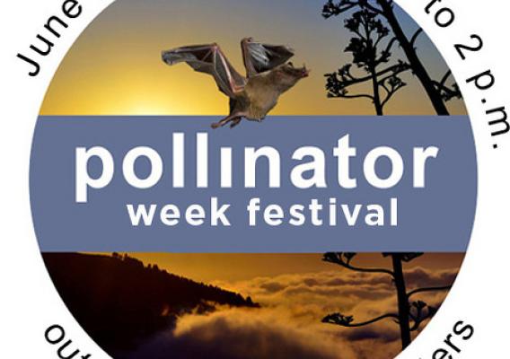 National Pollinator Week Festival graphic