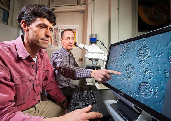 U.S. Department of Agriculture (USDA) Agricultural Research Service (ARS) entomologist Jay Evans and postdoctoral research associate Ryan Schwarz use a microscope to look at spores of the honey bee fungal parasite Nosema ceranae