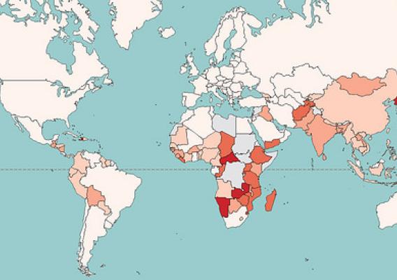 FAO Hunger Map 2015